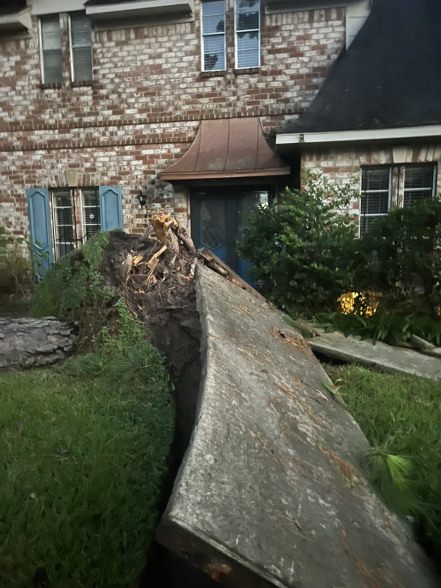 Terri Williams tweet media