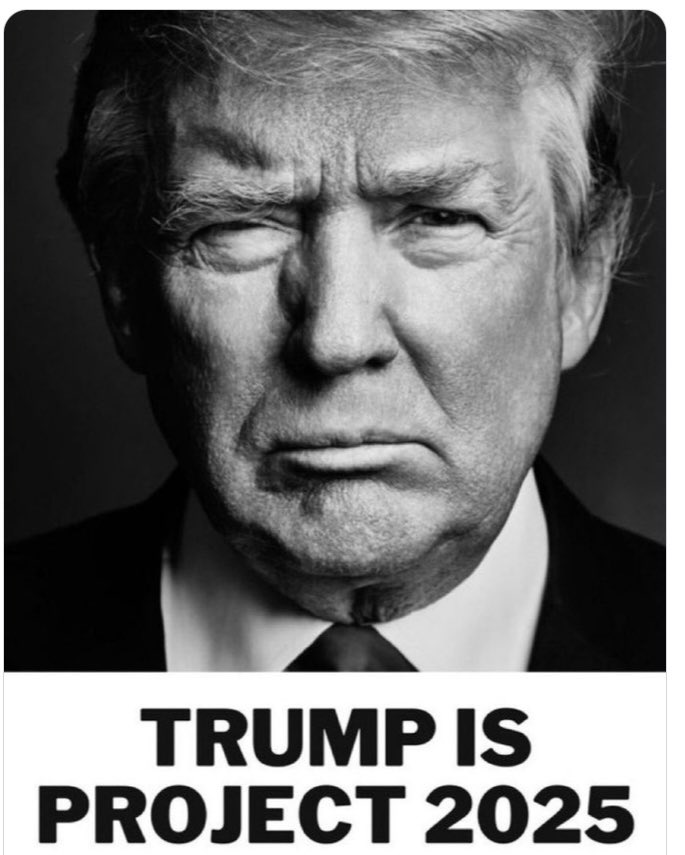 marlene4719's tweet image. A Pedophile and convicted felon is literally laying the foundation for a Third Reich and the media is still ranting about a 90 minute debate.