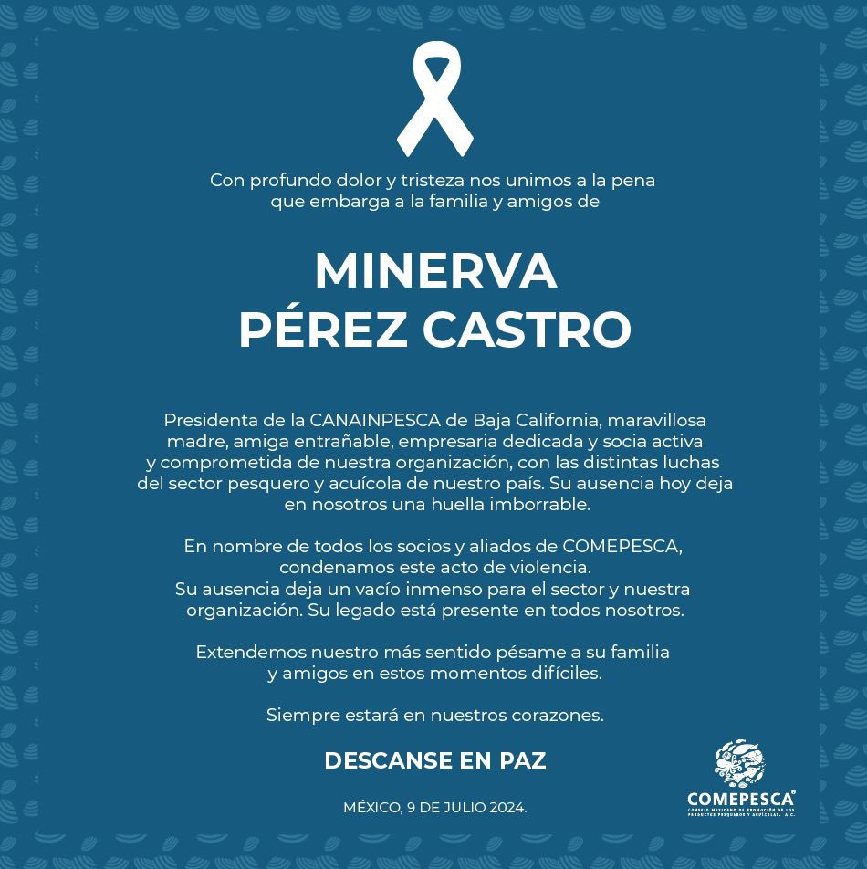 Nuestro comunicado.

Te recordaremos siempre, Minerva.