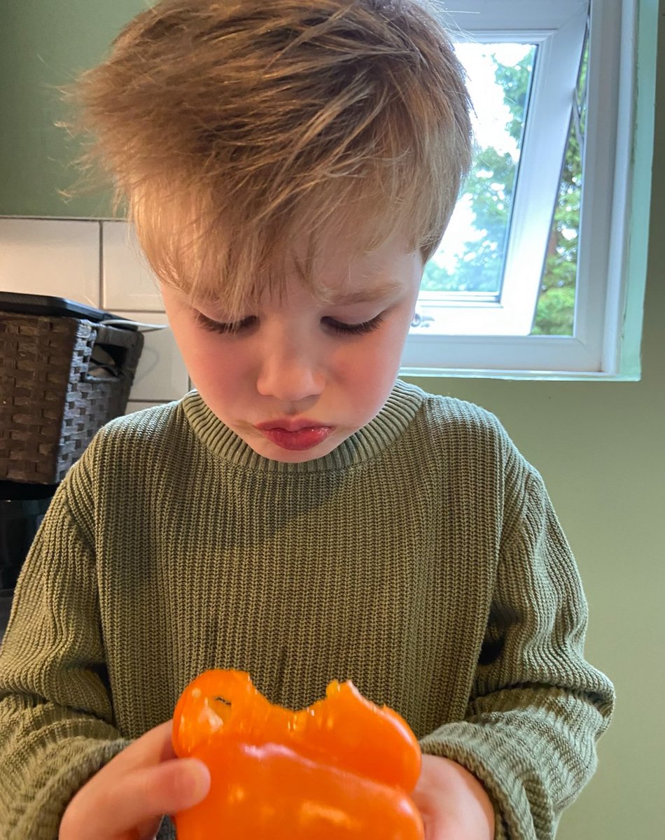 RACHELLE 🚀rhymes with gazelle tweet media