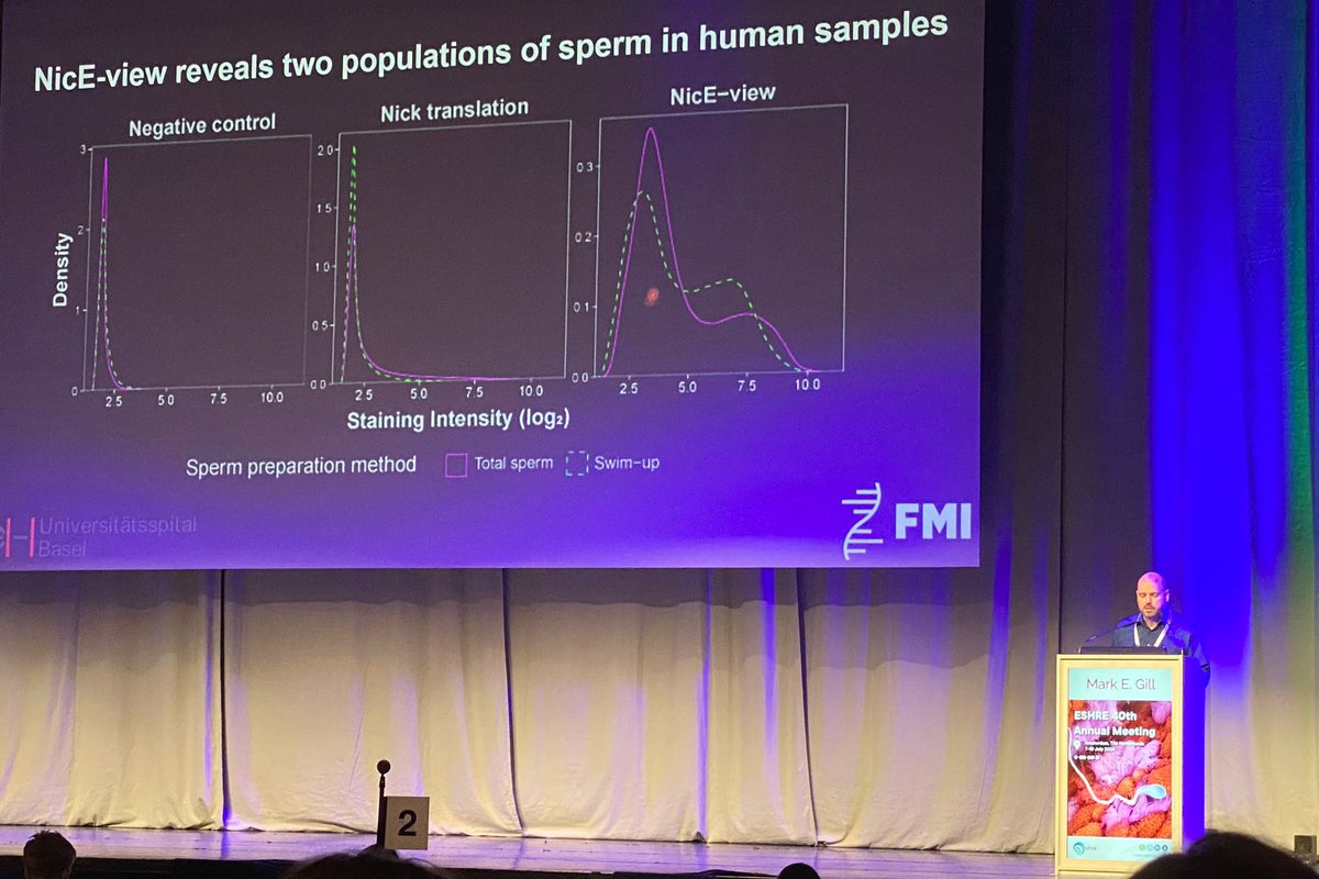PetersLabFMI's tweet image. Today Dr. Mark Gill presented to @ESHRE how NicE-view detects the levels of DNA accessibility in human sperm across individuals with differing reproductive parameters. Find more here: biorxiv.org/content/10.110…