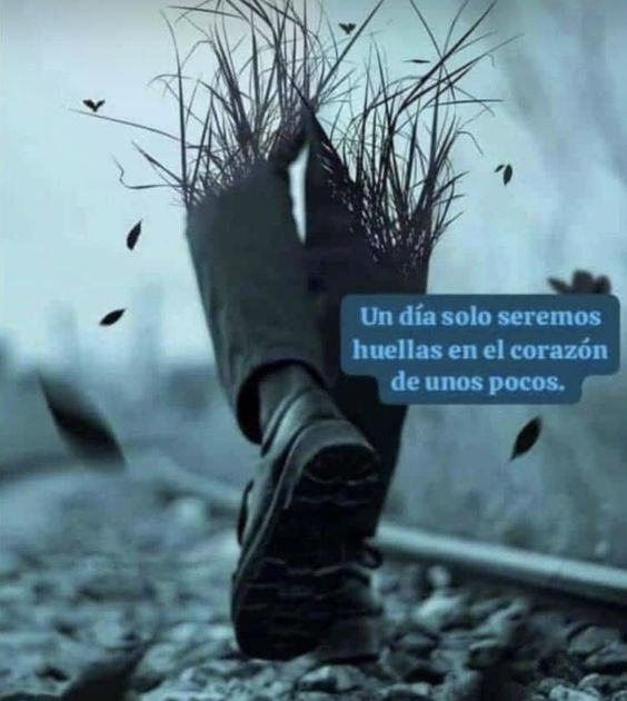 Aneurys Aguilar (@aneurysaguilar0) on Twitter photo 