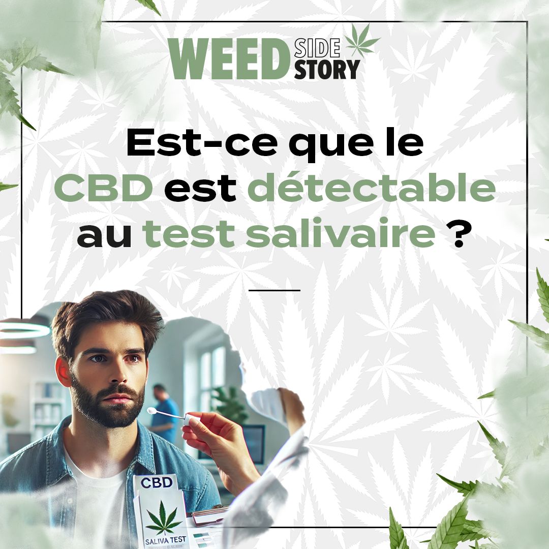 side_weed's tweet photo. 📢 Blog Alerte ‼️

Le CBD est-il détectable au test salivaire ? 🤔 Découvrez la vérité sur cette molécule populaire ! 😌

Notre blog explique pourquoi cette molécule légale en France ne devrait pas vous inquiéter lors de ces tests. 🚫💧

📖 Lisez ici 👉 https://t.co/R9dWmlAytm https://t.co/DJQA9729Xs