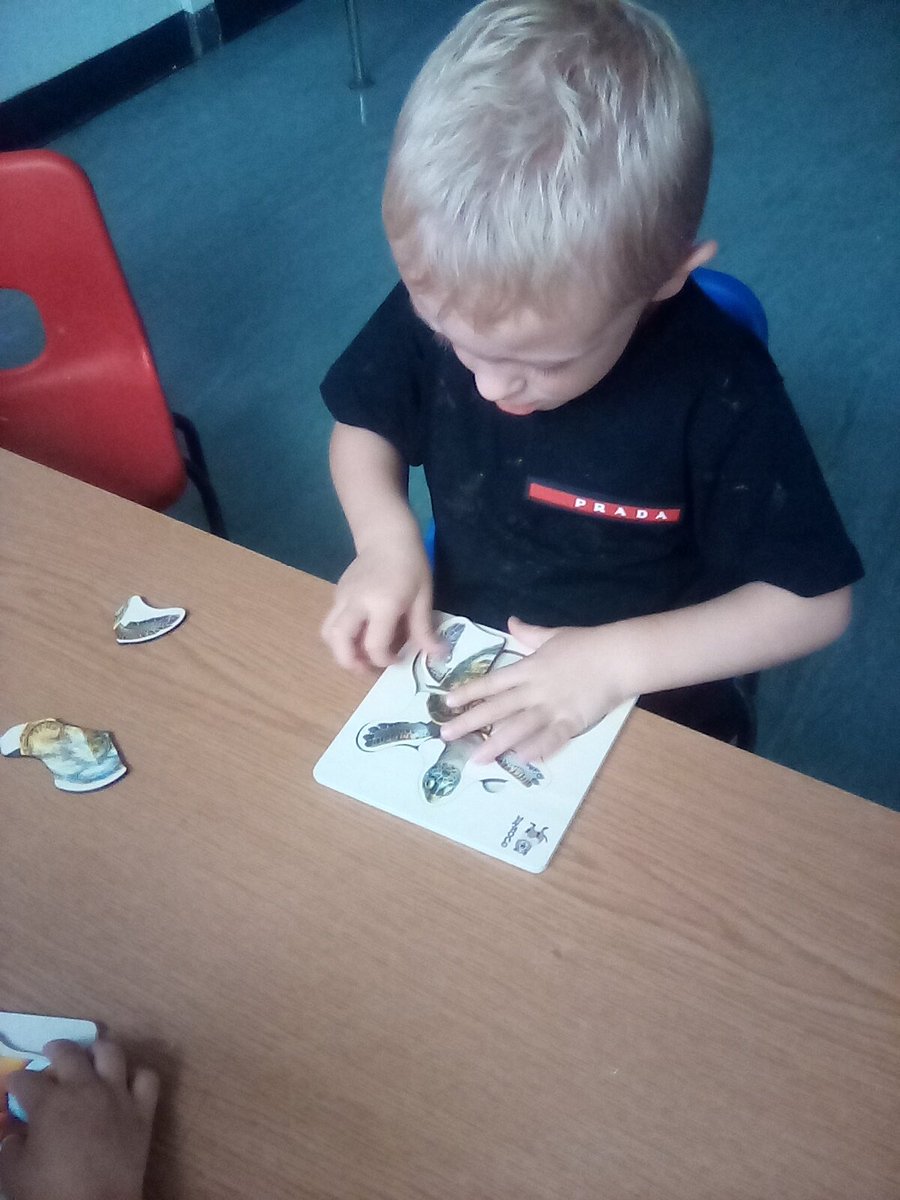 FieldOfDreamsL7's tweet photo. Maths in action in Toddler Room #FODMATHS https://t.co/QziDY5bsHA
