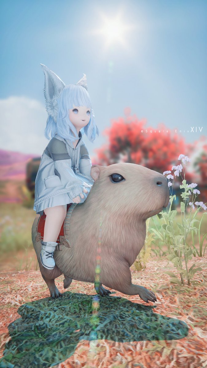 Completed 7.0 last week.😺
But I still have a lot of things to do.🙌
Capybara so cute!!💞
#FF14📷 #FF14SS
#ララフェル #おはララ