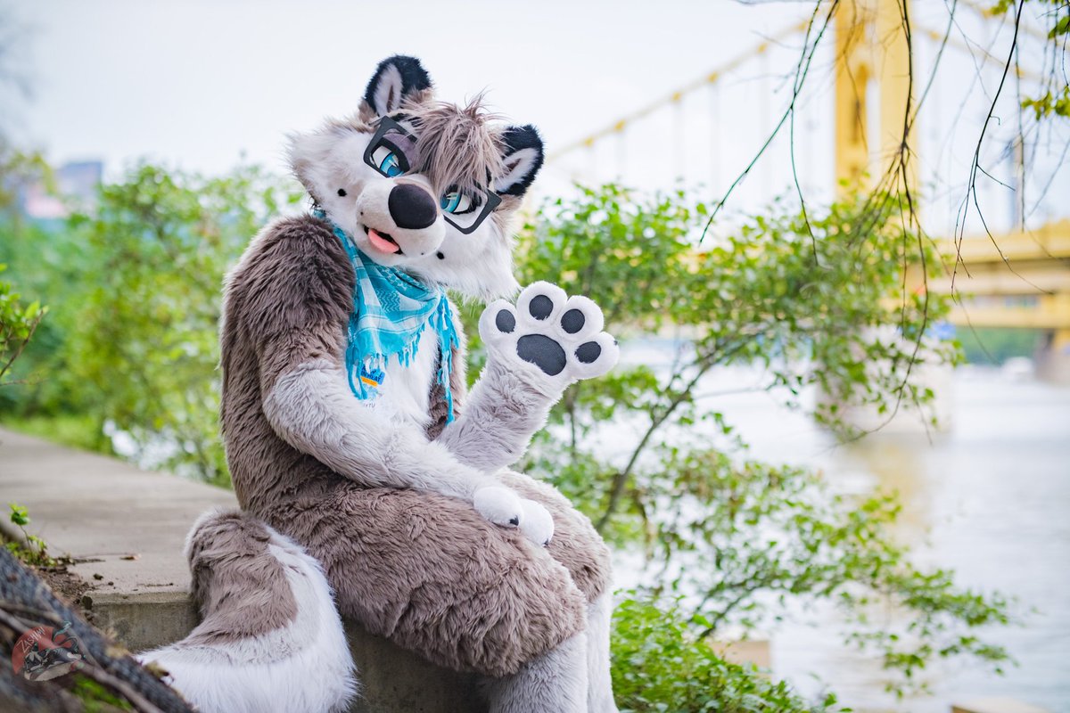 ColeWuff 🐺 🔜 TFF26 tweet media