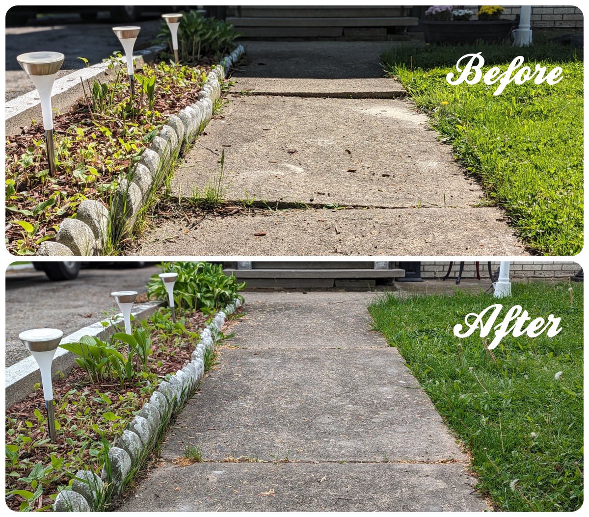 Niagara_411 🇨🇦 tweet media