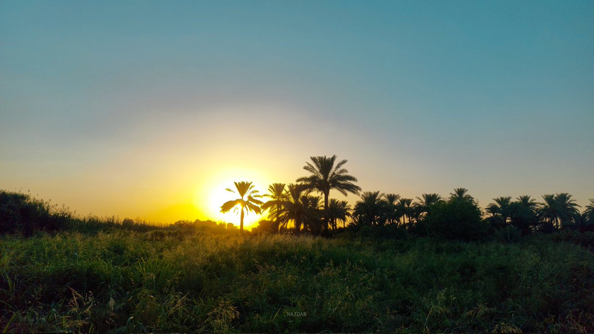 Haidar . tweet media