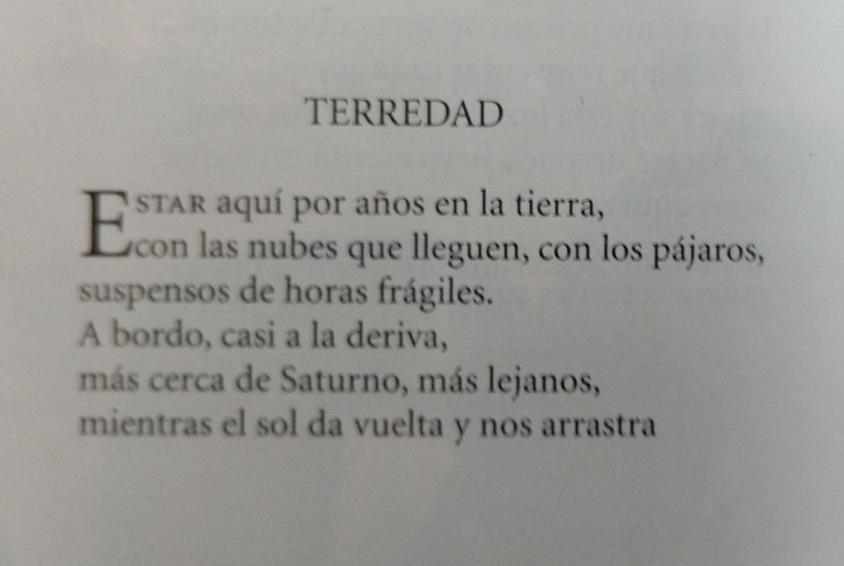 Sala de Lectura de La Poeteca tweet media