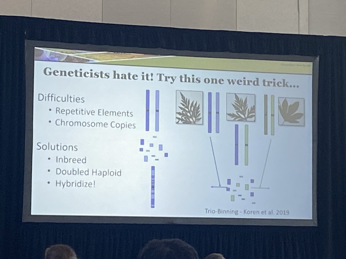 Dr. Sara Martin on point with her clever slide headings in this morning’s plenary! 
#plantcanada24