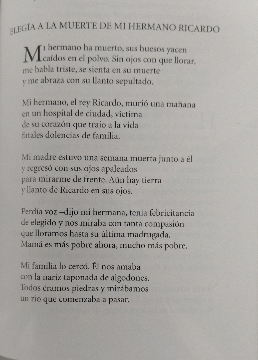 Sala de Lectura de La Poeteca tweet media