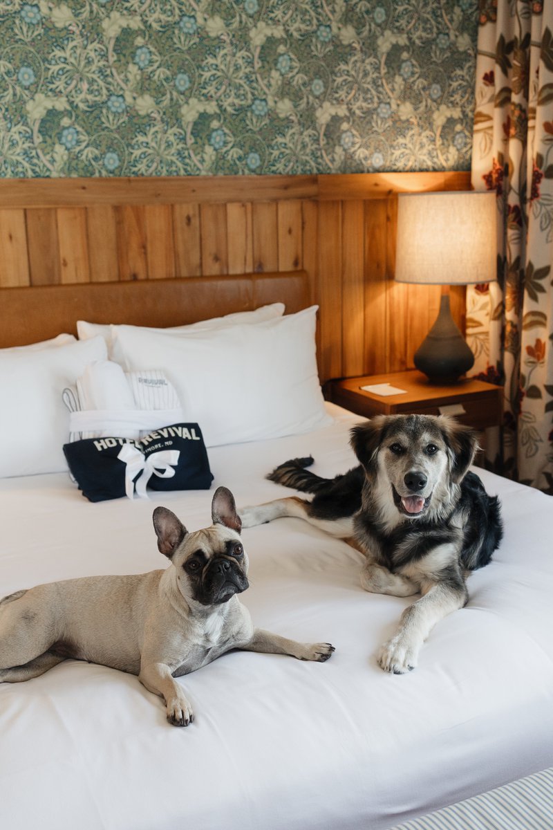 PROFILES tweet media