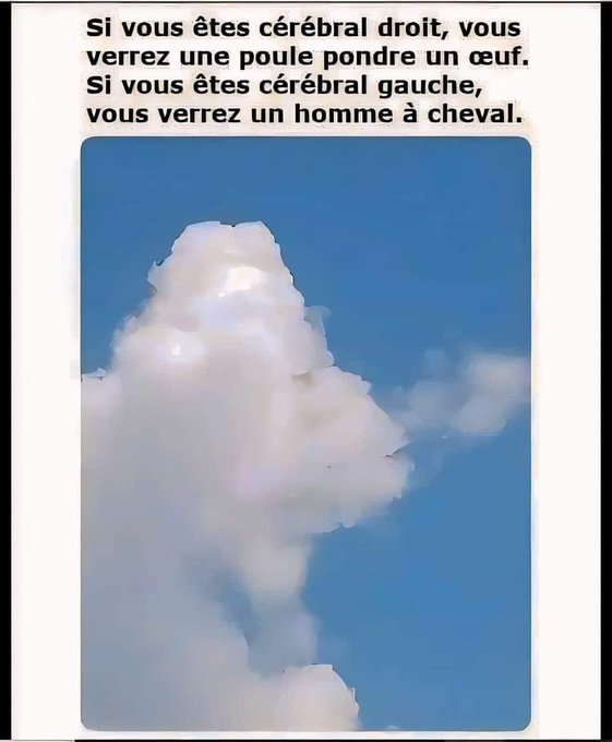 text alternatif