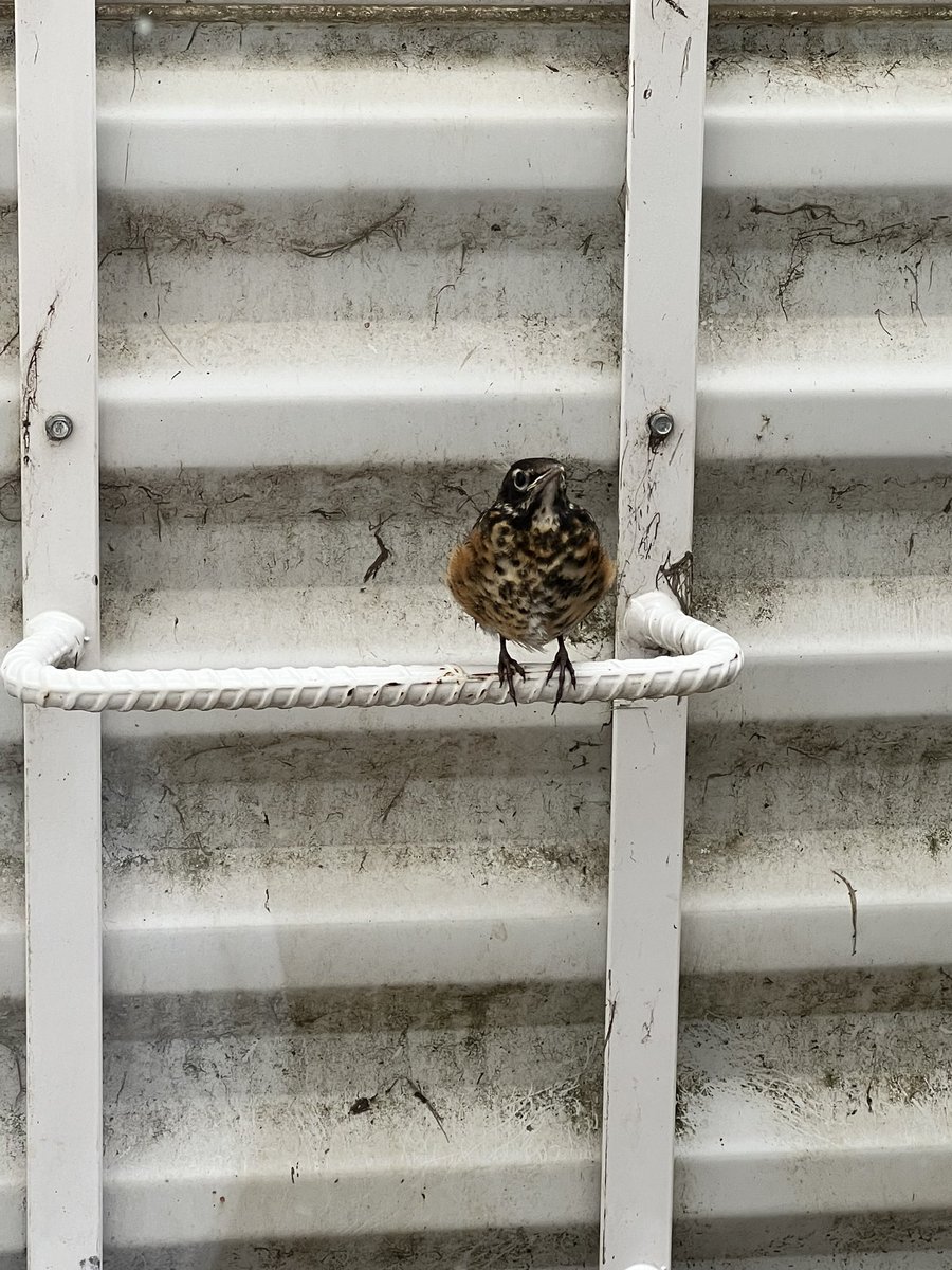 thebnewm tweet media