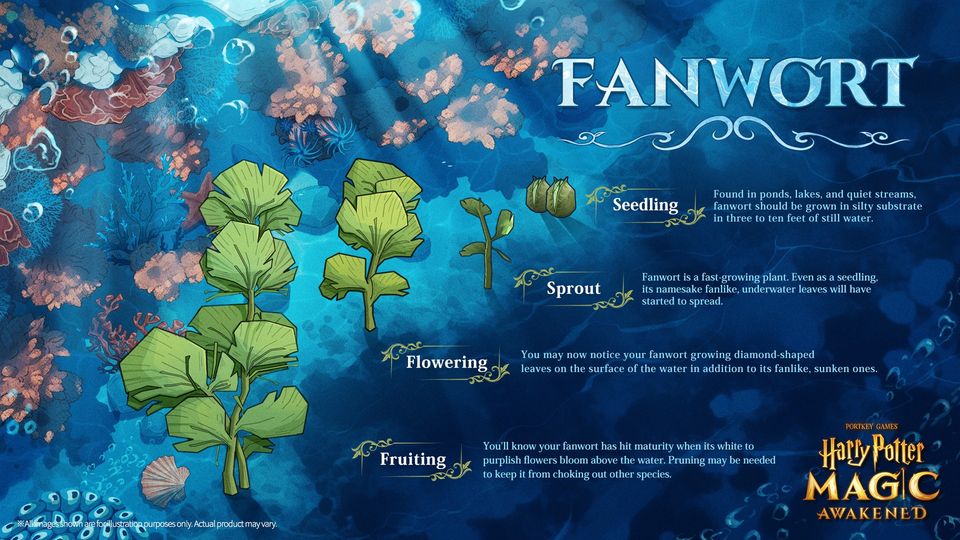 Come and grow your own magical plants! Fanwort is a non-magical wild flower whose yellow-centered blooms range from violet-blue to white. Both ornamental and medicinal, it's the progenitor of the cultivated pansy. #HarryPotter #MagicAwakened