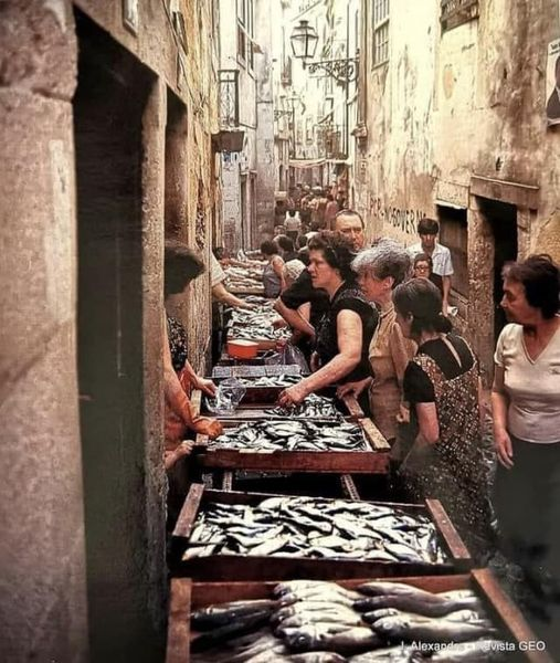 NortonFrancisco's tweet photo. Adoro peixe , é fixe! Era assim na Lisboa antiga. https://t.co/G6fX3N2o4s