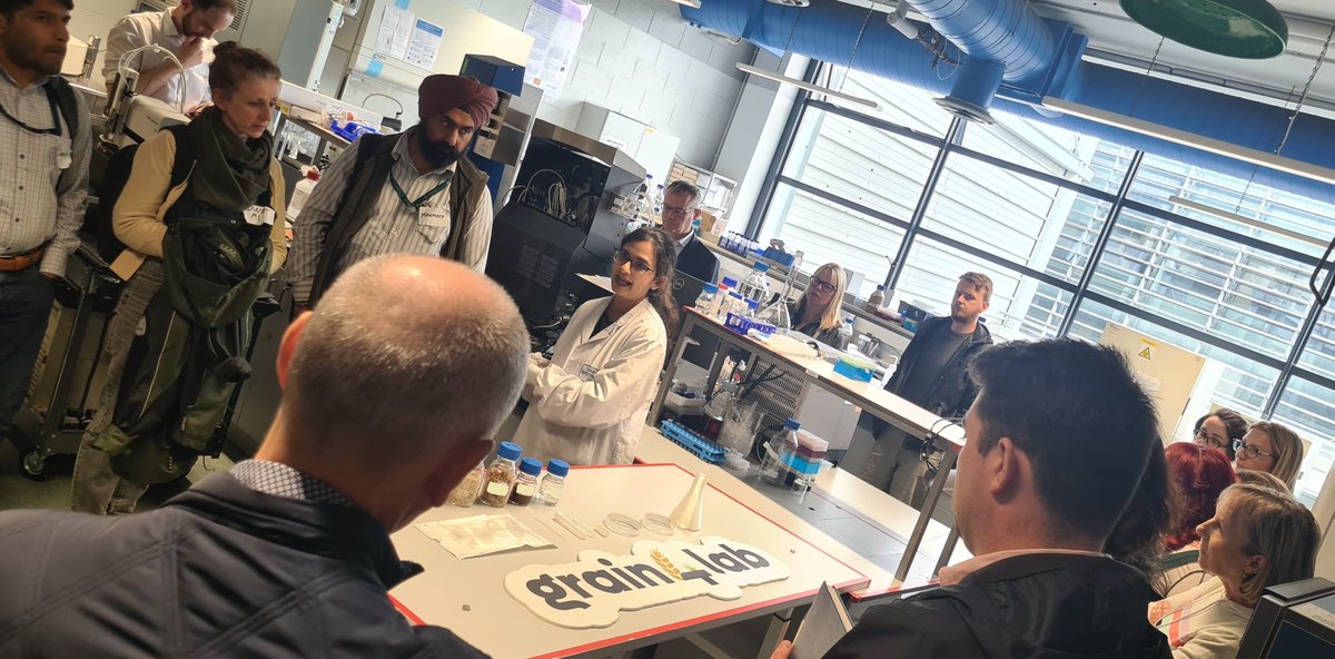 Grain 4 Lab tweet media