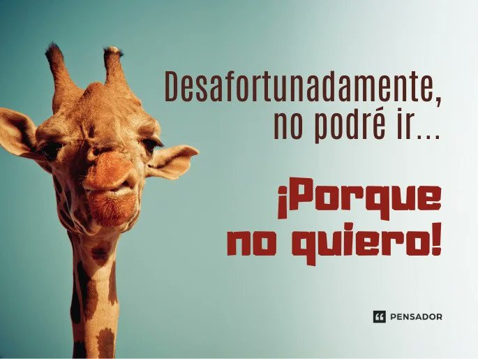 De verdad que lo siento mucho! 😂😂😂😂

#humor #09Julio