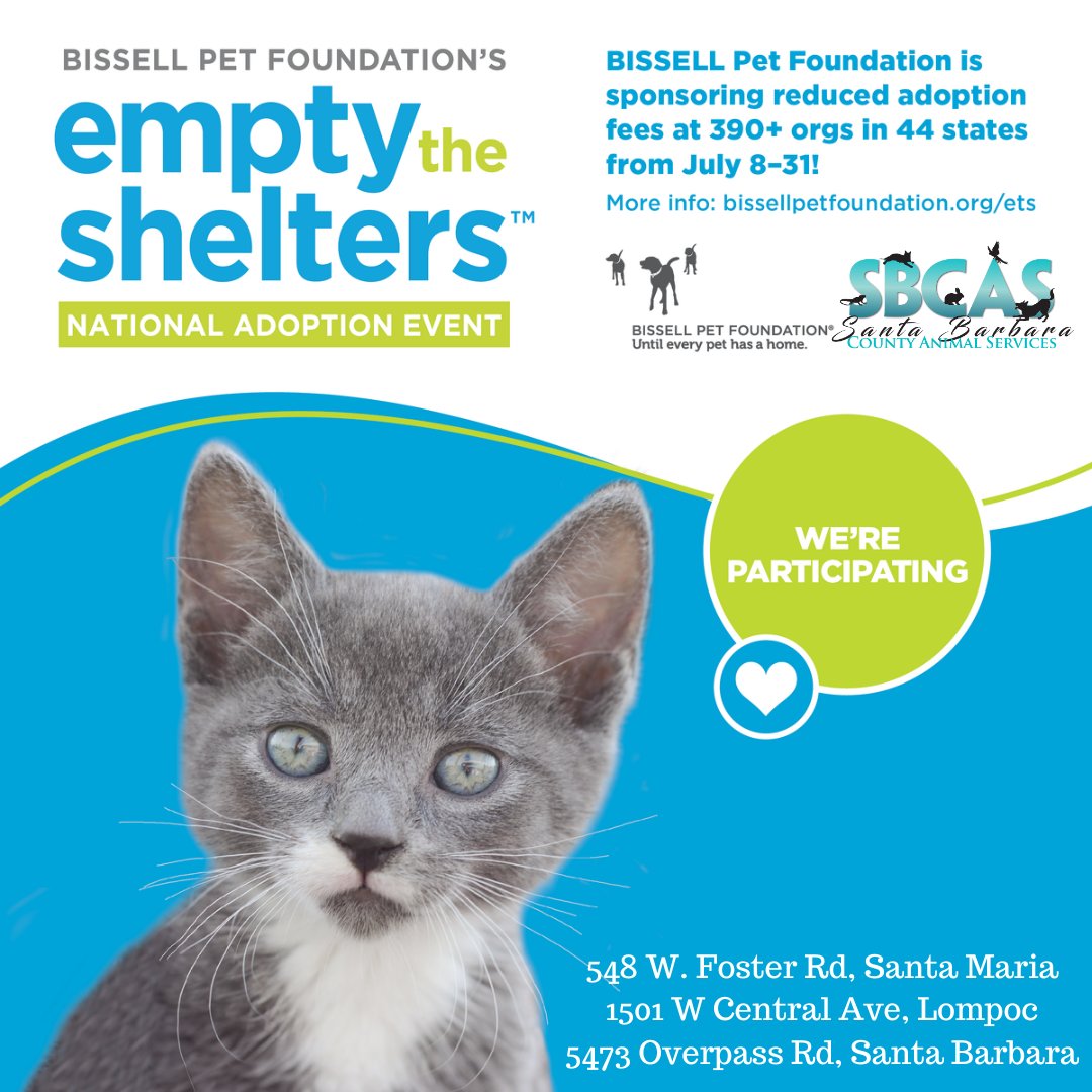 SBC Animal Services tweet media