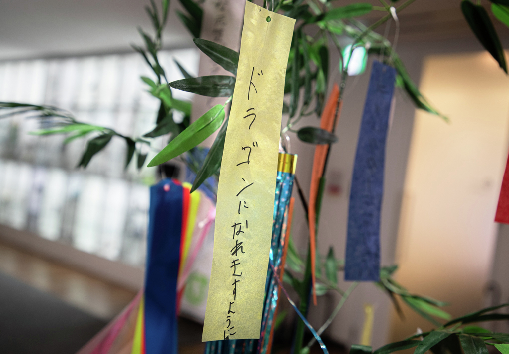 We take #Tanabata (#七夕) wishes very seriously🐲

English translation:
I wish to became a dragon.