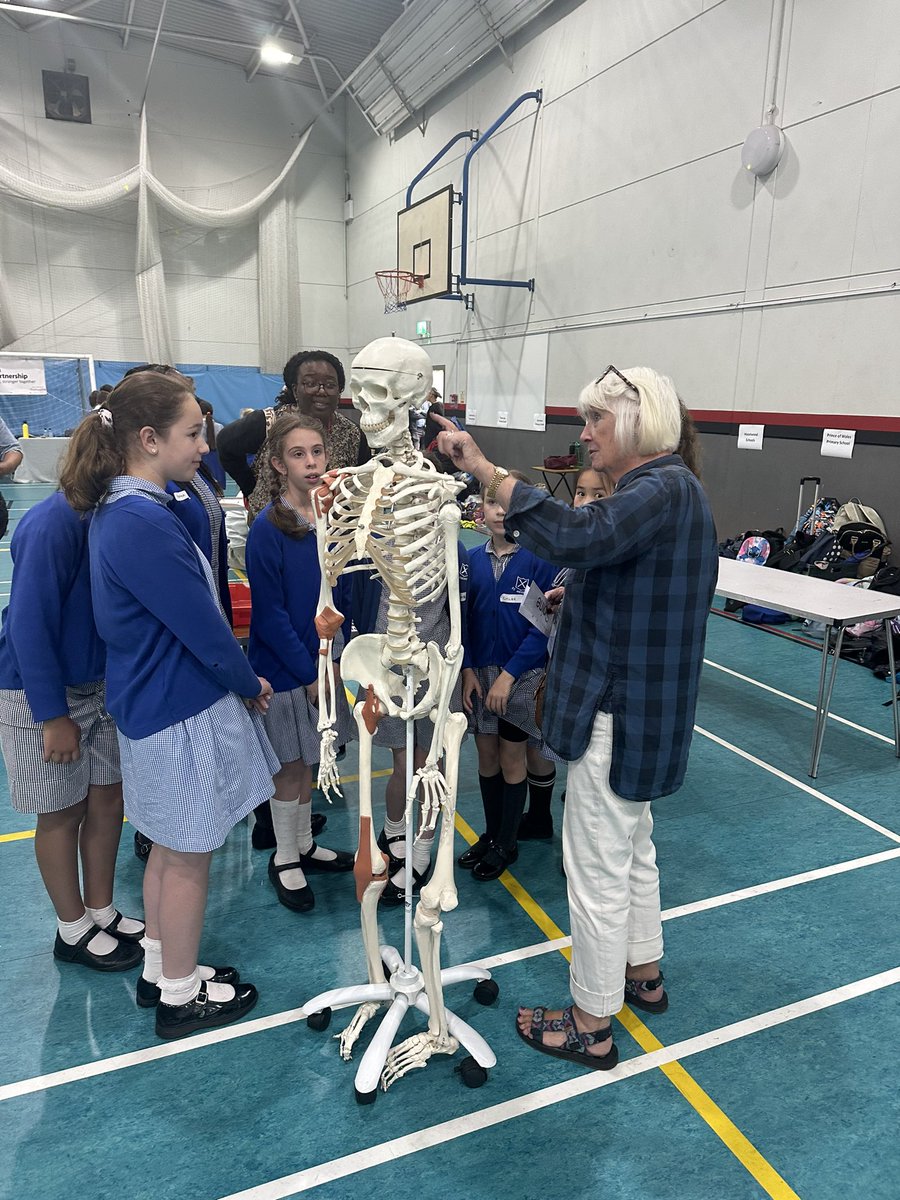 Enfield Town Schools' Partnership tweet media