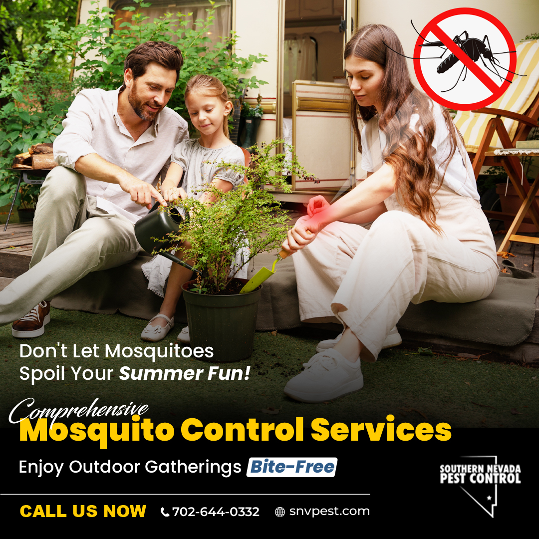 SNVPest's tweet image. Are mosquitoes invading your yard? High temps and standing water create breeding grounds for these pests. #SouthernNevadaPestControl offers comprehensive #MosquitoControlServices to keep your yard safe and enjoyable. 📞702-644-0332 or visit snvpest.com! #PestControl