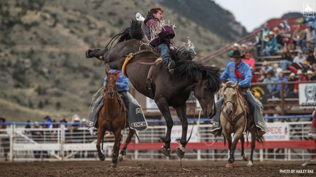 Bronc Marriott savors long-awaited matchup, special win at Cody Stampede rebrand.ly/mnpn3z2 Learn more about Montana Pro Rodeo: montanaprorodeo.com #prorodeo #montana #PRCA #NFR #montanaprorodeo #barrelracing #breakawayroping #rodeo #rodeolife #rodeostyle