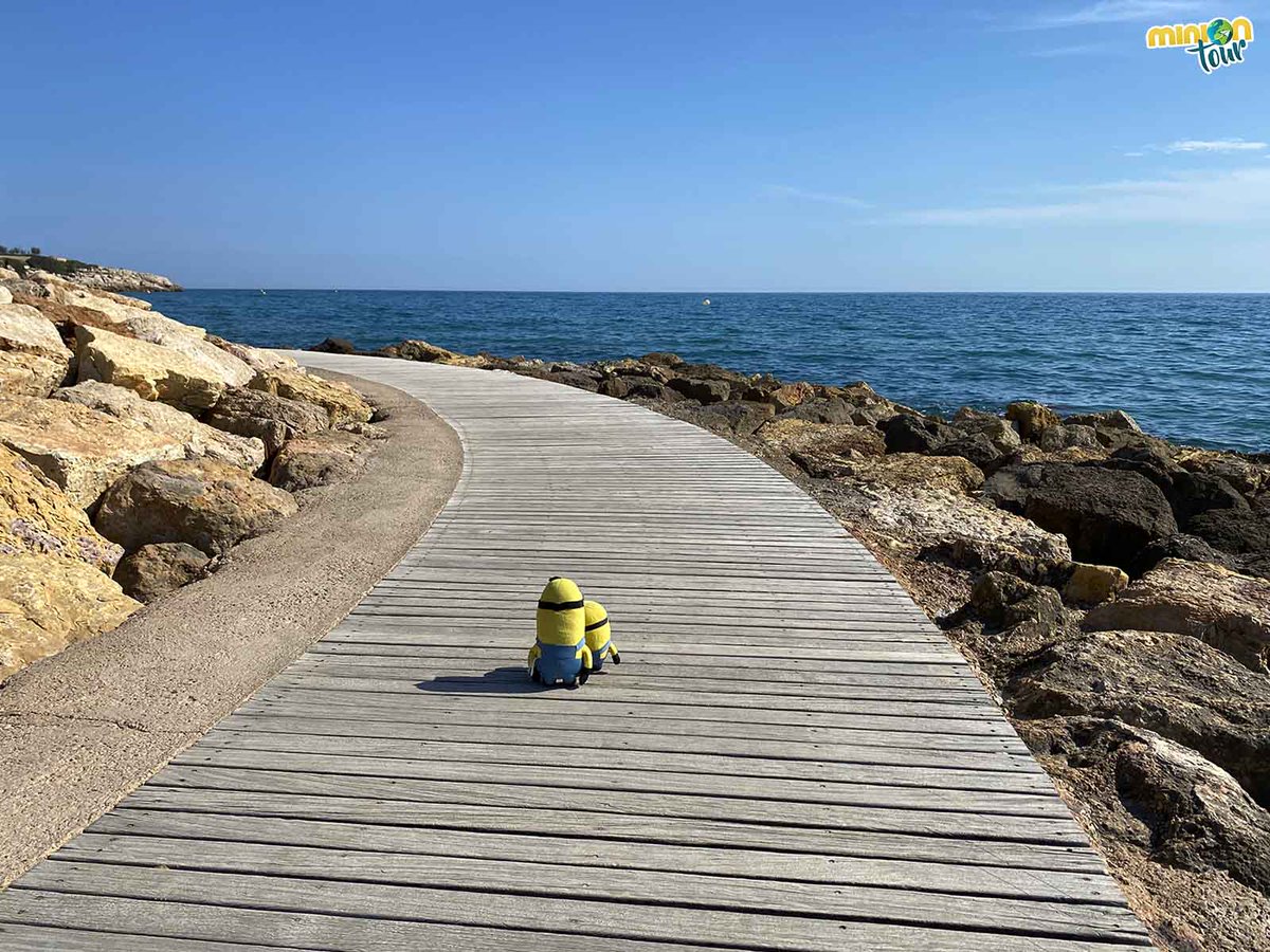 MiniOnTourES's tweet photo. Si te gusta caminar cerca del mar y no eres muy fan de los paseos marítimos, el #CaminodeRonda de #Salou te va a enamorar 🥰 , una de las cosas que tienes que ver en esta localidad de #Tarragona
👉 https://t.co/UolGhp7dRq
@catexperience @AjuntamentSalou @visitsalou @TGNturisme https://t.co/RIHXhFEPYt