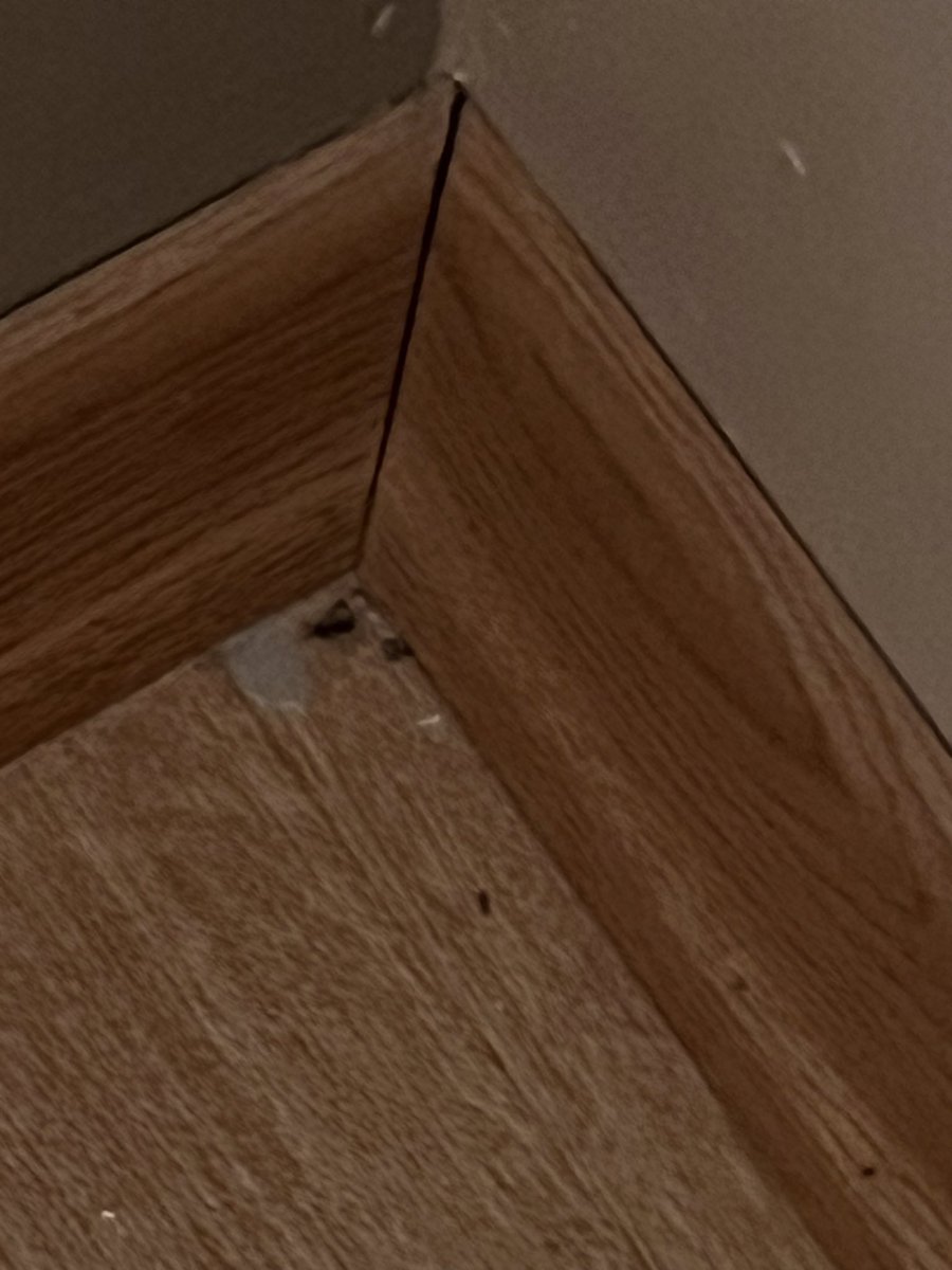 AinslieCourse's tweet photo. @TUIUK 
This is not acceptable . 
We refused to stay here . Unsanitary .
I look forward to your response .
I have LOTS more pics . https://t.co/DxOHZBv3EV
