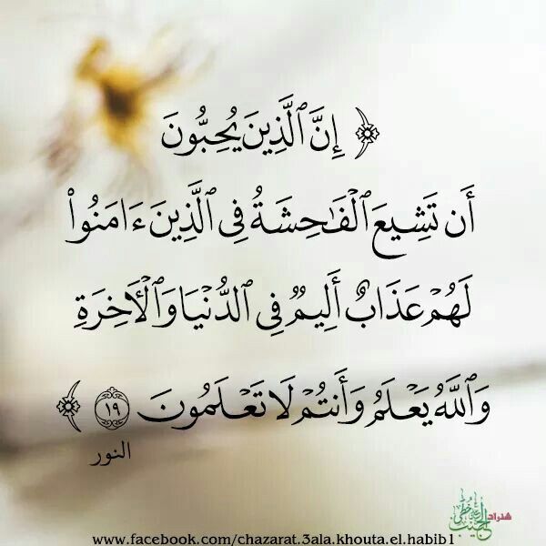 27_hmody's tweet photo. يقول علي بن أبي طالب
رضي الله عنه وأرضاه : "

لو رأيت الفضيحة 
بأم عيني لسترتها بردائي
فإن مذيع الفاحشة كفاعلها ".💔 https://t.co/GJfOmkTa8l