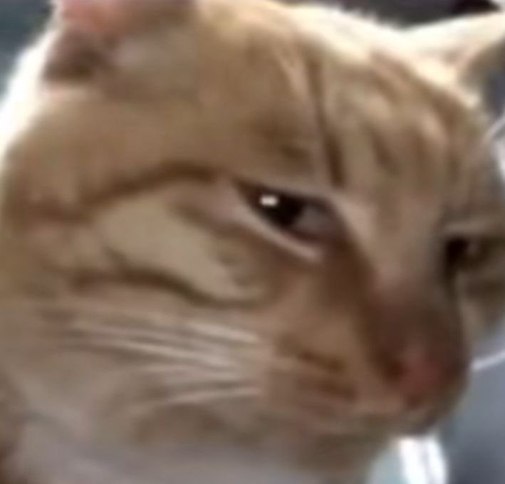 ihrtdevils's tweet image. nobody:

when the devils management hear there’s a trade going on.