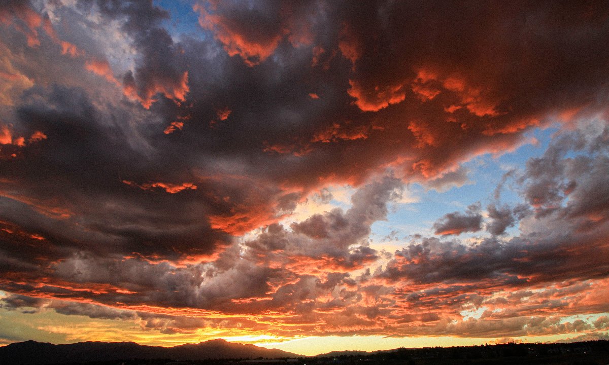 Marco Morales tweet media