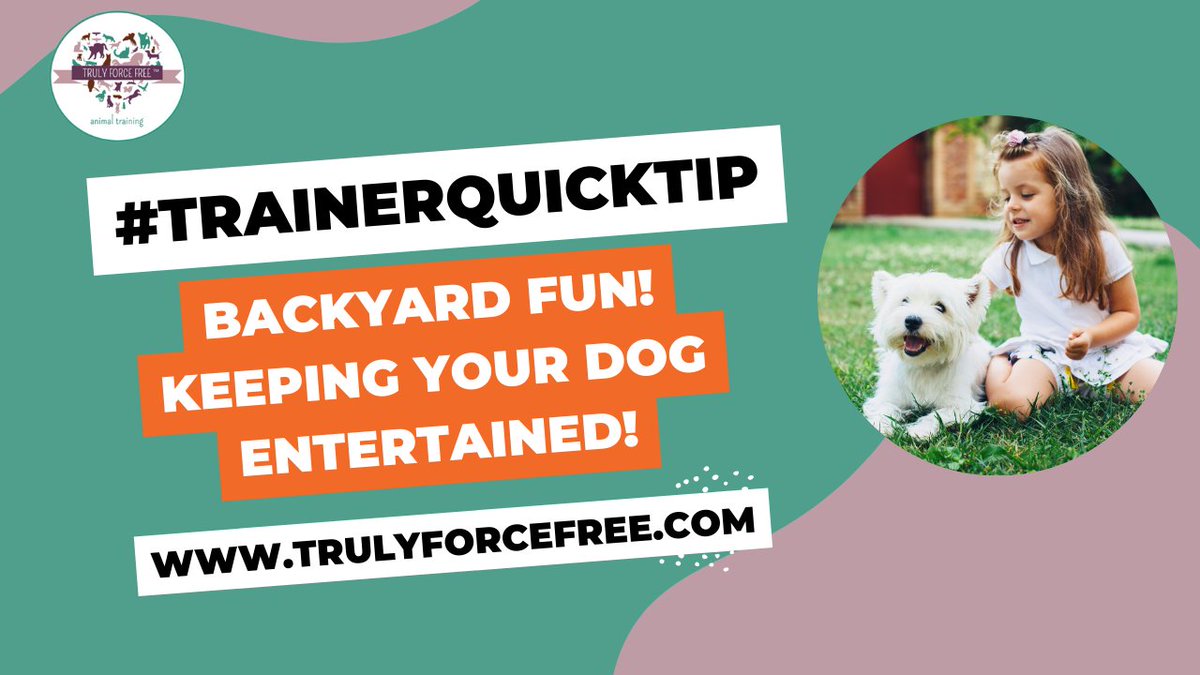 forcefree_pets's tweet image. 🐶🌞#trainerquicktip Backyard Fun! Keeping Your Dog Entertained

This will help teach your dog independence and confidence while building problem solving skills! 

👀Watch Now! youtu.be/-T9m_kVvhE0