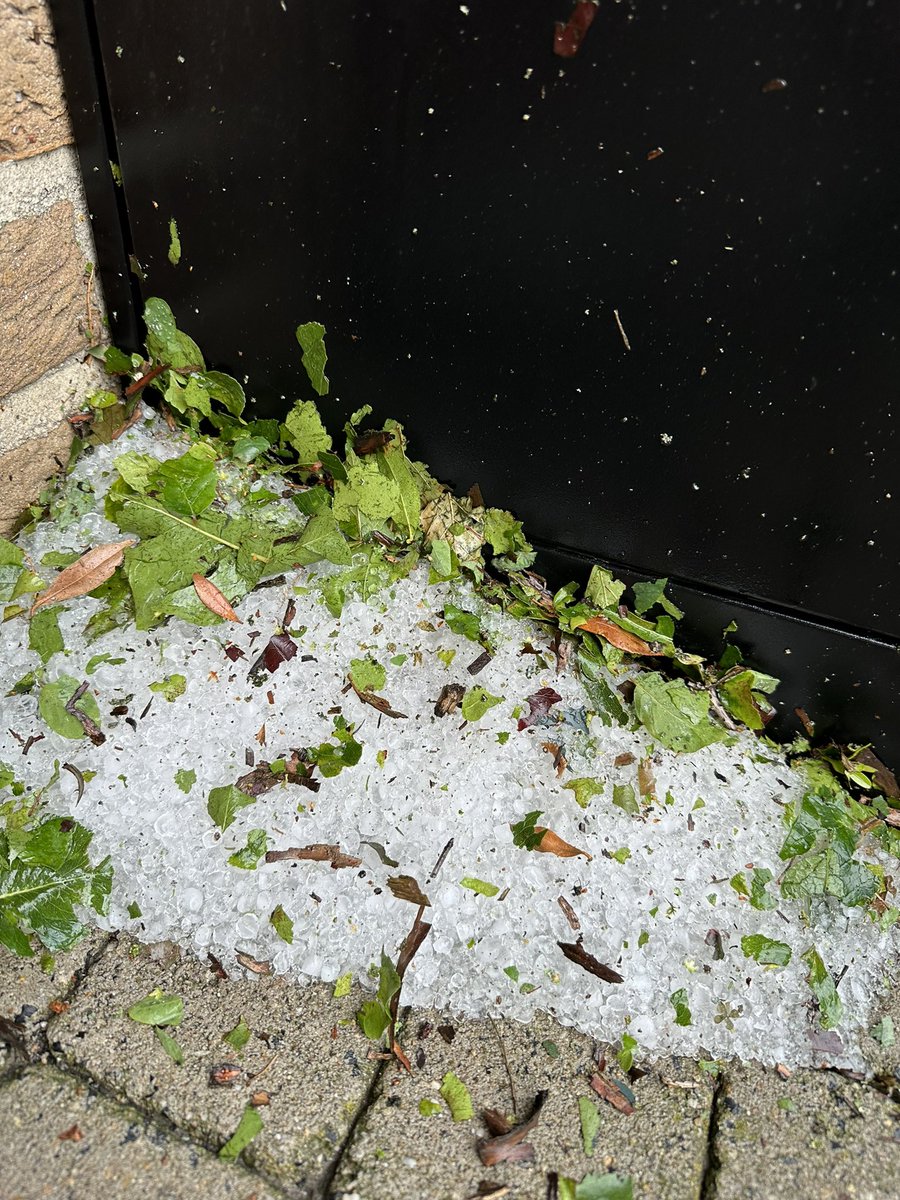 Elk nadeel heeft zijn voordeel: ik kan gratis mojito maken