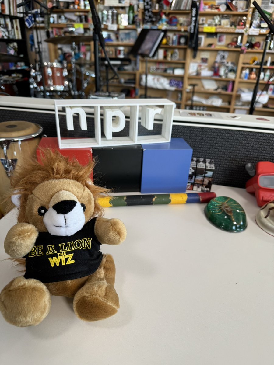 Coming soon... 🎤🦁✨💛