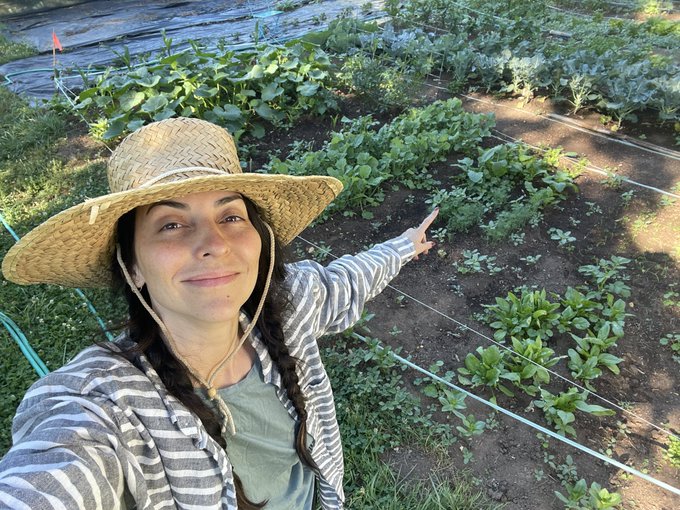 Out early watering the farm rows! Also check out my bees drinking from the edge of my pond. If you look<a href="/tag/realloyalfans"class="tags"><span>#realloyalfans</span></a>