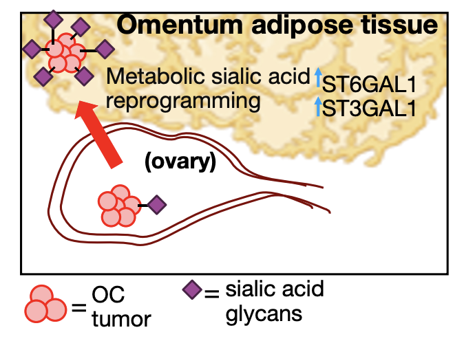 Charlie Fehl tweet media
