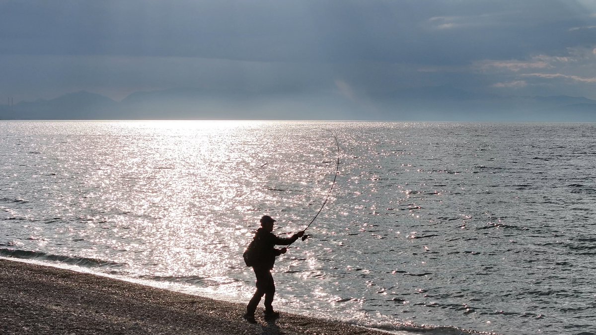 clipangler's tweet photo. NUOVA DAIWA NINJA - La canna da SPINNING per tutti! - Prova in mare catt... https://t.co/7c39bjZ1sN via @YouTube https://t.co/eIxteTz36N