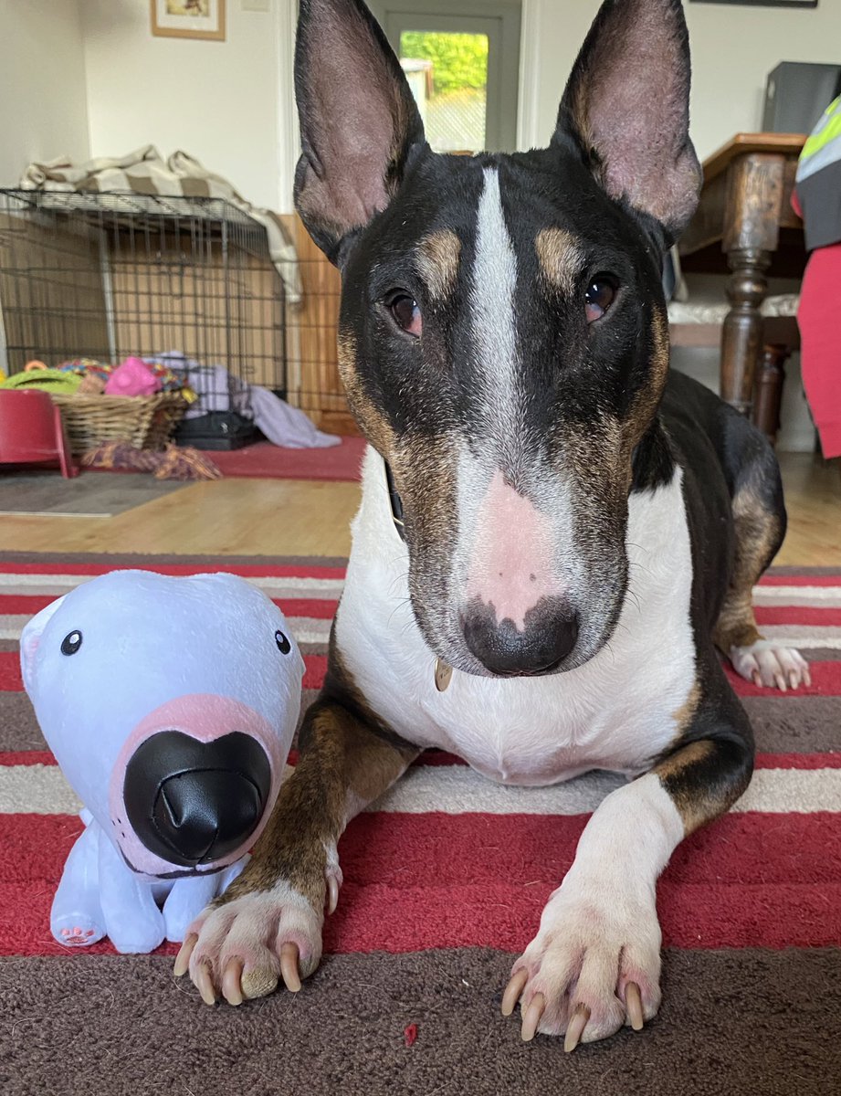 just ordered another <a href="/PupperNelson/">🐶 NELSON</a> for my collection, I know Nelson &amp; Trevor would’ve been great friends if they ever had the chance to meet &amp; as much as I miss my boy I can still support another good boy🥰

makeship.com/products/walte…