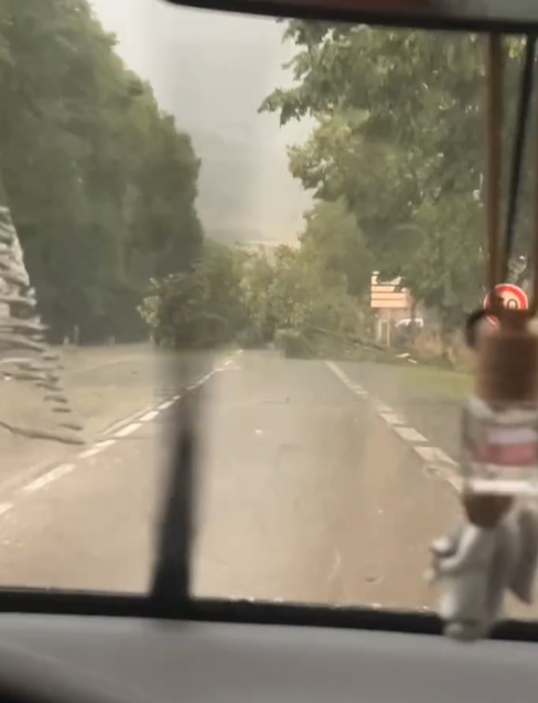 OrMeteo's tweet photo. 😱 La commune de #Vitteaux à été fortement impactée par de virulentes rafales de vent ( potentiellement une microrafale ) ayant provoqué de très nombreux dégâts au passage de l'orage.
📸 Par Eugénie Comparot, par Anne-Catherine Loisier et par Johlann Malet https://t.co/AsfNyrFDqP