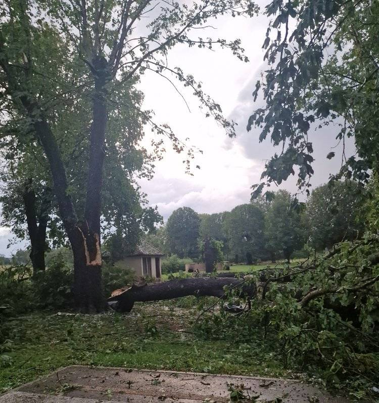OrMeteo's tweet photo. 😱 La commune de #Vitteaux à été fortement impactée par de virulentes rafales de vent ( potentiellement une microrafale ) ayant provoqué de très nombreux dégâts au passage de l'orage.
📸 Par Eugénie Comparot, par Anne-Catherine Loisier et par Johlann Malet https://t.co/AsfNyrFDqP