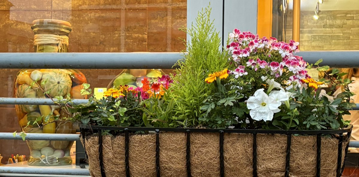 RTW in Bloom tweet media