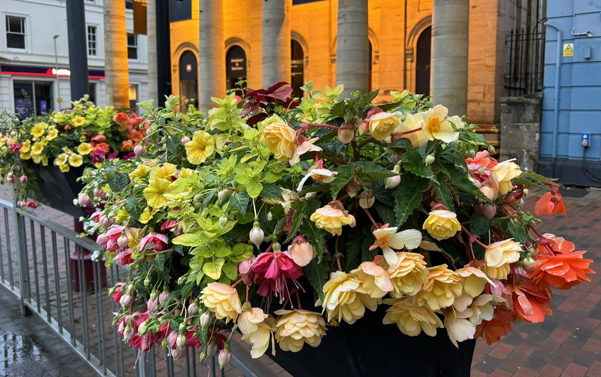 RTW in Bloom tweet media