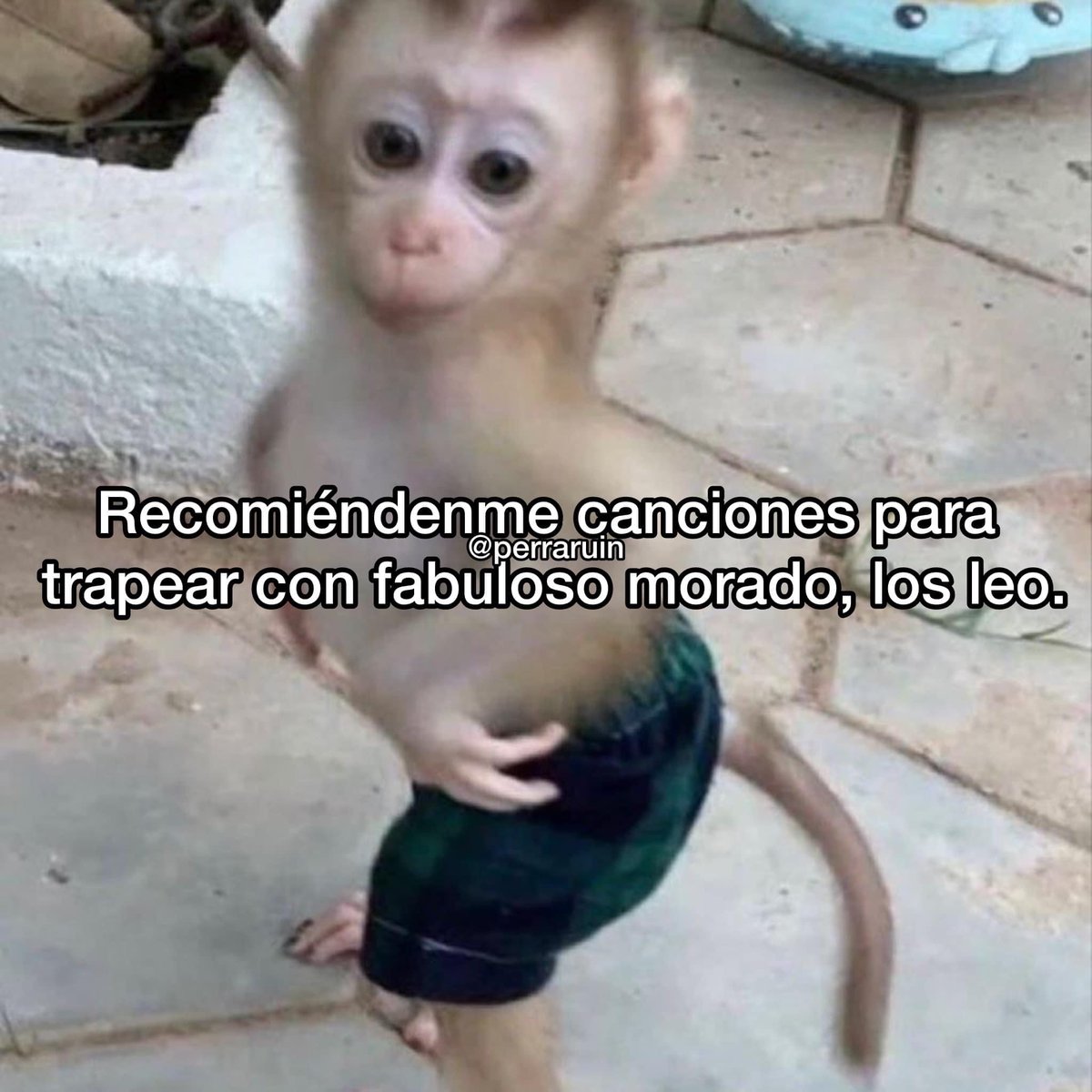 Paulina Ornelas (@pauornelast) • Instagram photos and videos, image size:1200x1200