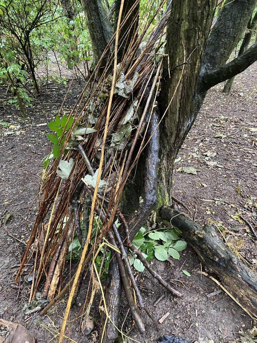 carolin17428620's tweet photo. Our last Tuesday in Bramblebank Wood for Reception today and of course it rains AGAIN ☔️😂
Recently, some of our children have had visits from the tooth fairy so today we made fairy houses for the tooth fairy and her helpers. 
Great job everyone 😁
@AlthorpeKeadby https://t.co/PY3G25oV3b