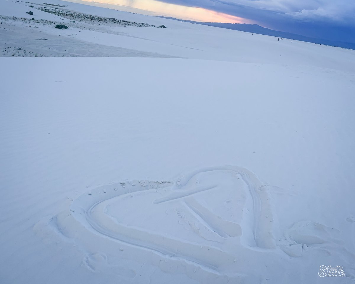 NMStateWSOC's tweet image. Today and every day, we honor and celebrate the life of Thalia Chaverria. 

Forever in our hearts💜

#AggieUp