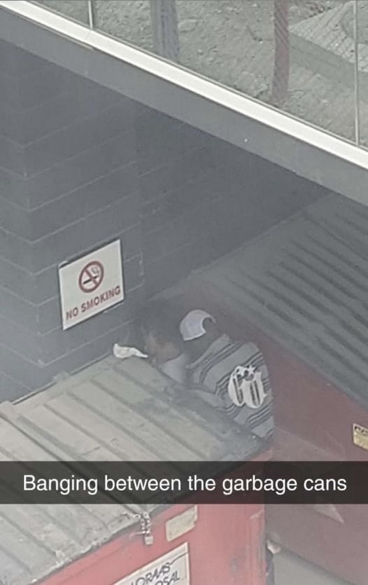 Just Bins tweet media