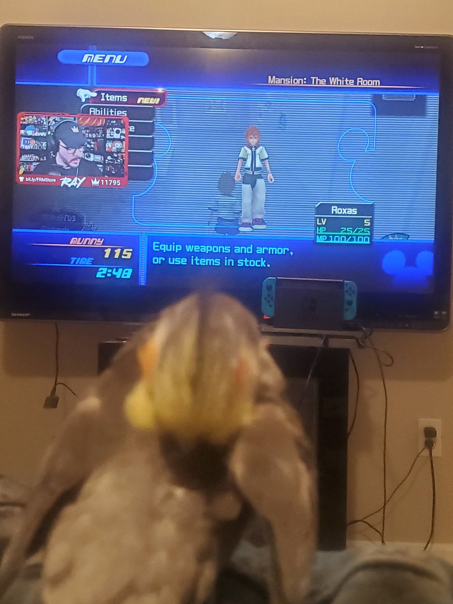 IndigoDreamTeam's tweet photo. Hell yeah, fave streamer, fave game, fave bird? Bout to be a damn good night. Sucks i couldn't watch live but that's what vods are for, let's go 
#DonaldFORREAL #OnlyBirds
@RayNarvaezJr https://t.co/H4CqTAU1B9