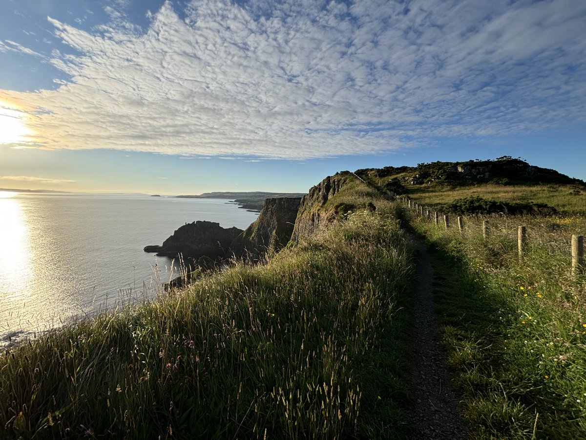 Stephen Trew tweet media