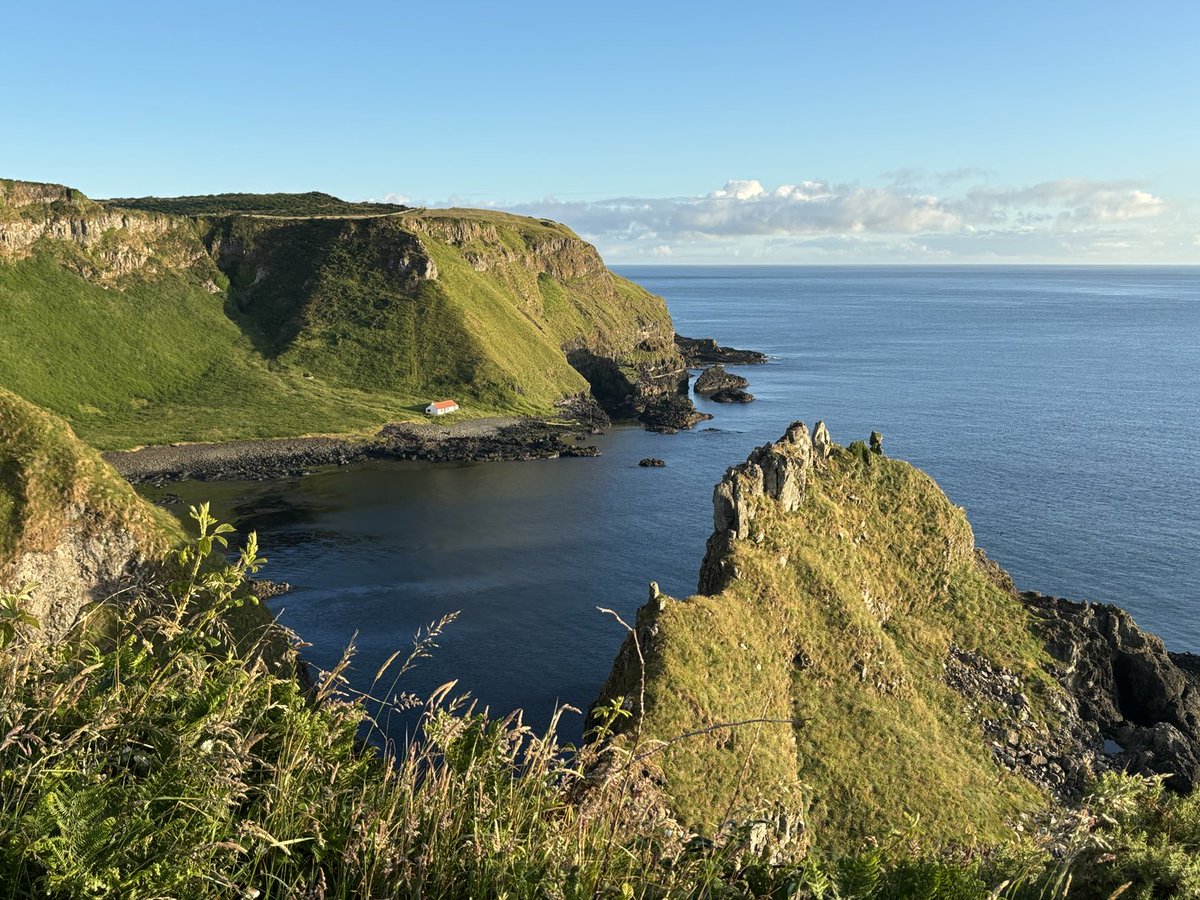 Stephen Trew tweet media